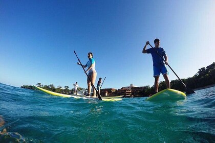 Sosua Stand Up Paddle Boarding