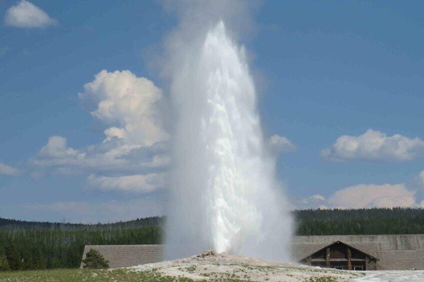Yellowstone National Park - Full-Day Lower Loop Tour from Jackson Hole