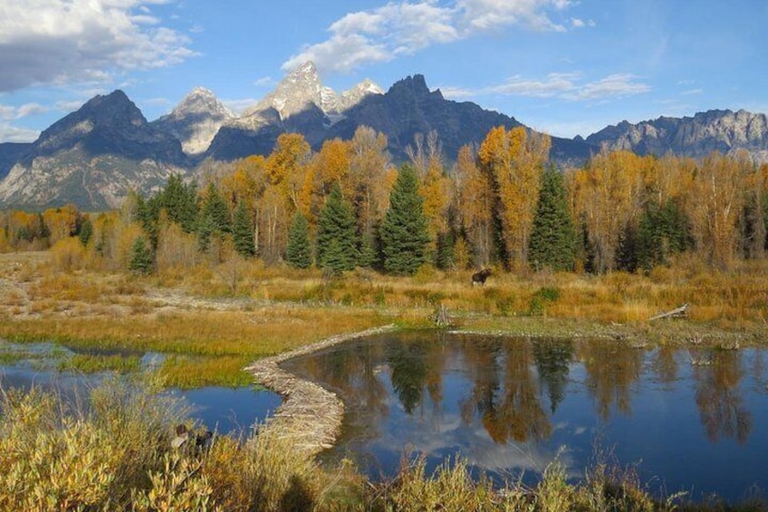 Grand Teton National Park - Sunset Guided Tour from Jackson Hole