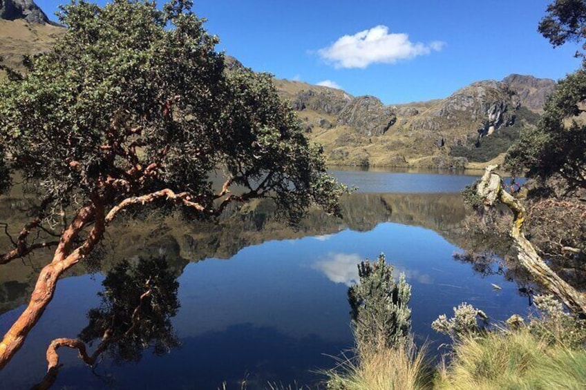 Full-Day Cajas National Park Tour from Cuenca, Ecuador