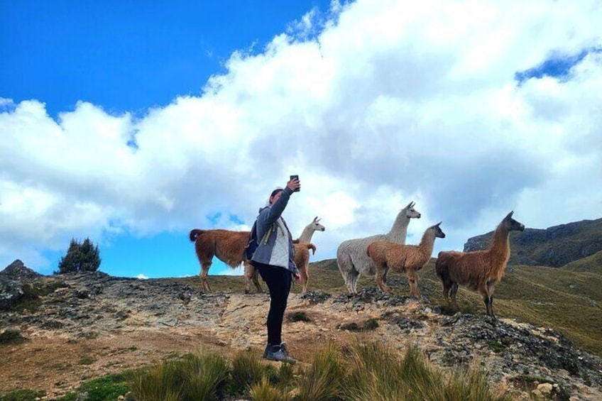 Cajas National Park adventure tour from Cuenca, Ecuador