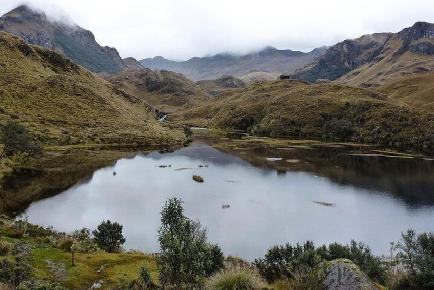 Andean Paramo