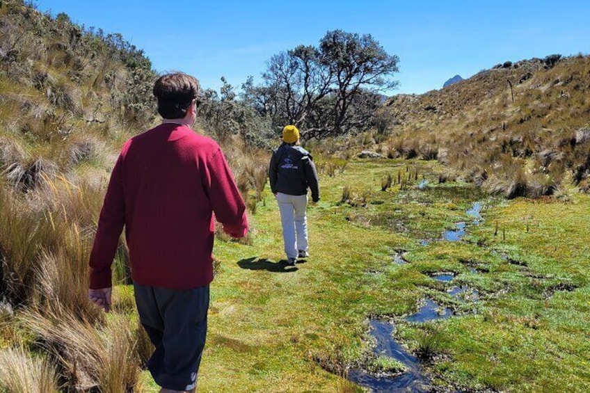 Cajas National Park Half-Day Tour from Cuenca