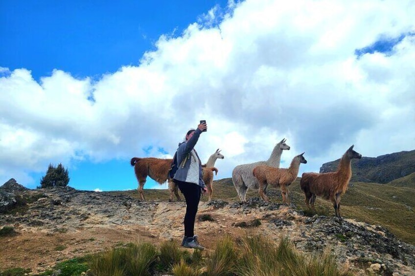 Cajas National Park Half-Day Tour from Cuenca