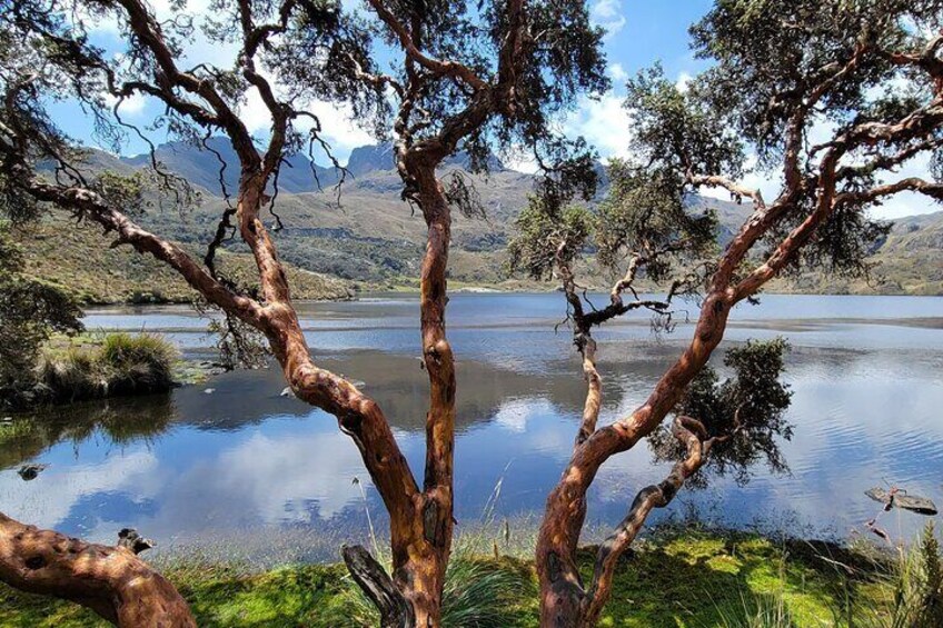 Cajas National Park Half-Day Tour from Cuenca