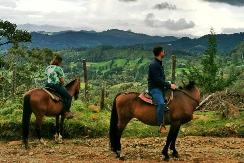 Horseback Riding in Medellin: Private Tour