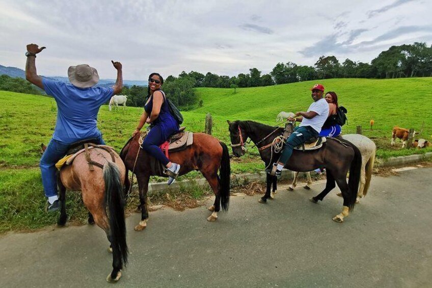 Horseback Riding in Medellin: Private Tour