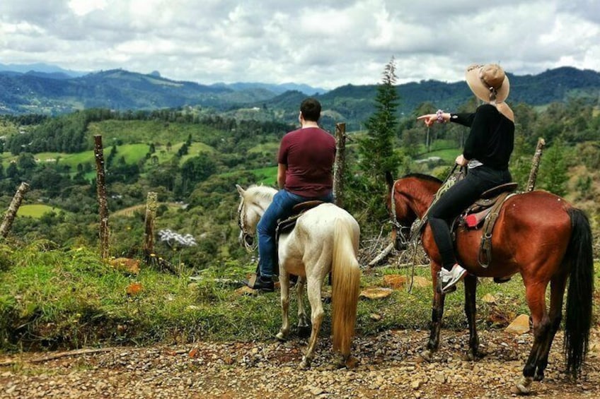 Horseback Riding in Medellin: Private Tour