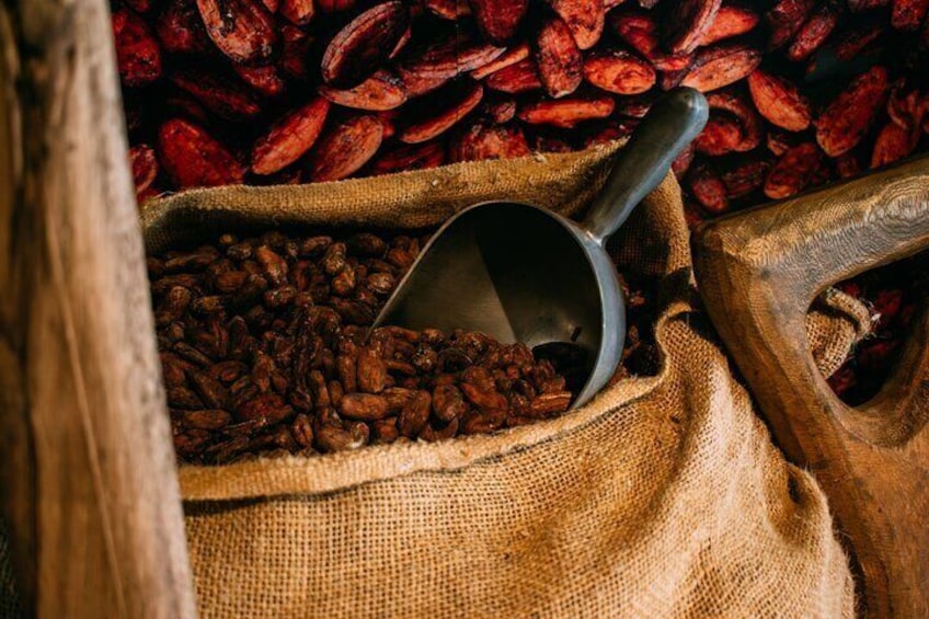 Ecuadorian cuisine with cocoa: class and tasting from Guayaquil.