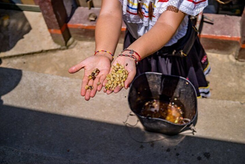 Coffee Tour in Medellin