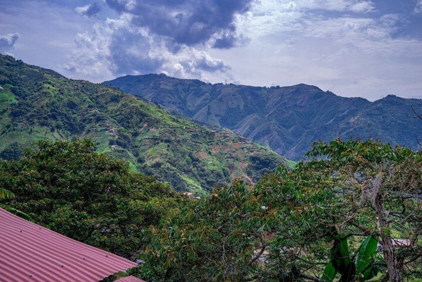 Coffee Tour in Medellin