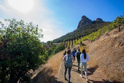 Small-Group Malibu Wine Hike