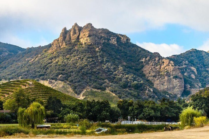 Small-Group Malibu Wine Hike