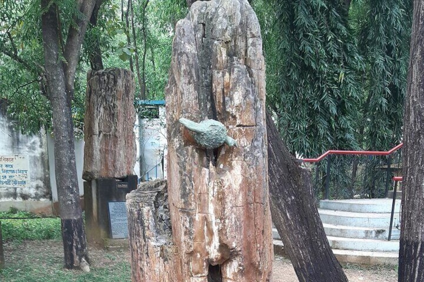 Tour de Kolkata