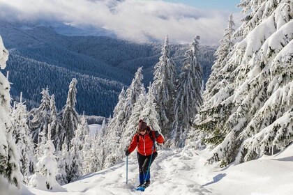 Snowshoeing on the Transylvanian hills - Day trip from Bucharest