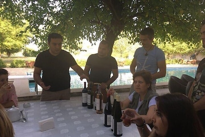 Gabala Aspi Winery Group Tour