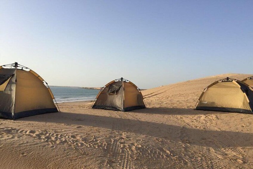 Camping on the beach, Indian Ocean
#GoldenHighlands