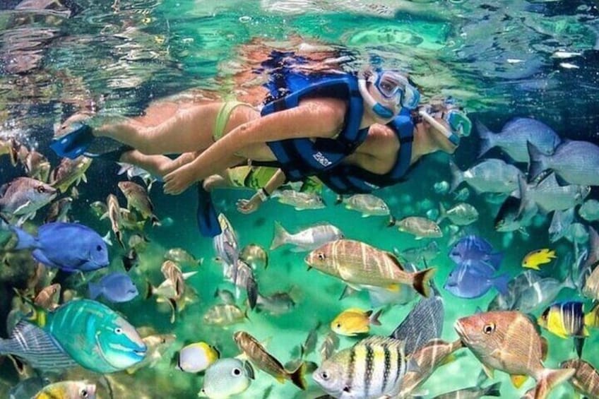 Full-Day Adventure with ATV, Party Boat, Snorkeling & Open Bar