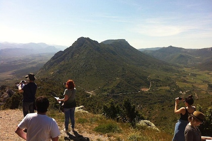 Private day tour to Cucugnan, Quéribus & Peyrepertuse castles. From Carcass...