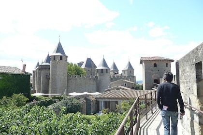Cité de Carcassonne and Canal du Midi Private Half Day Tour from Toulouse