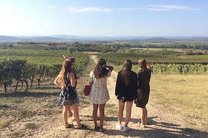 Cité de Carcassonne and Wine Tasting Private Day Tour from Toulouse