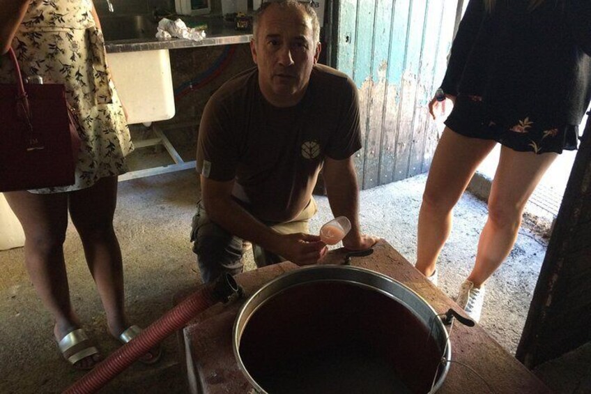 Wine tour