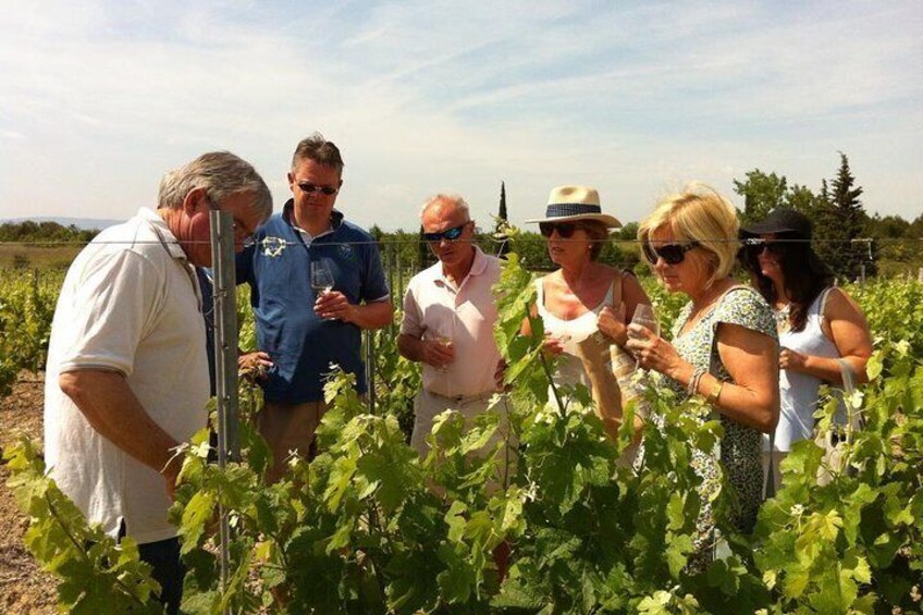 Wine tour