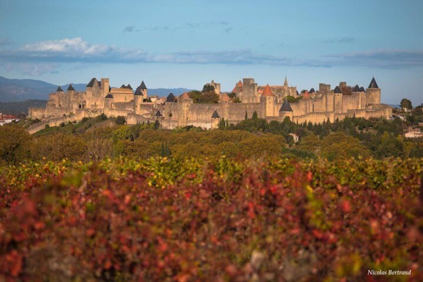 Private day tour : Cité de Carcassonne & the Lastours Castles.From Toulouse