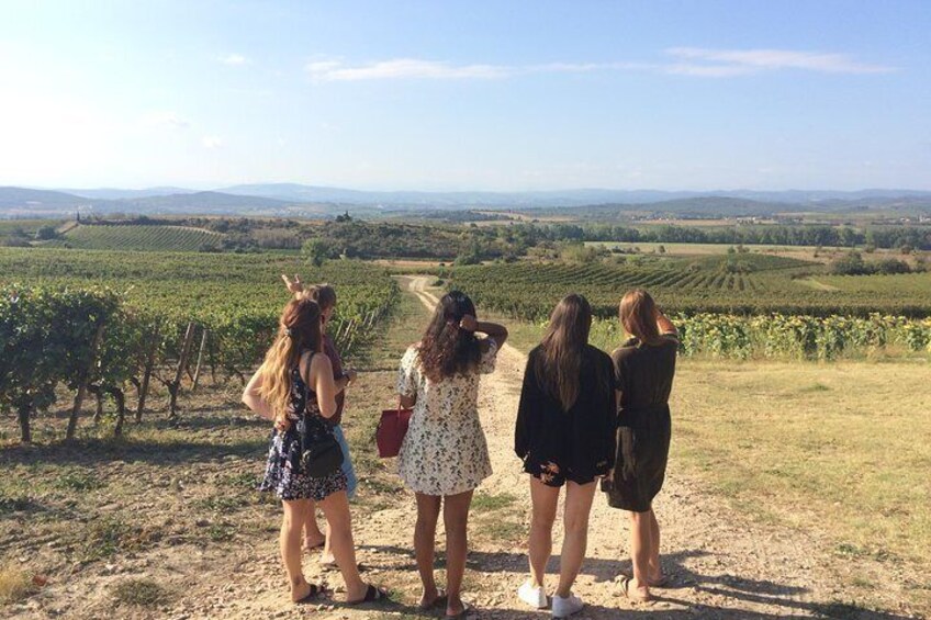 Private Day tour :Lastours, Wine tasting,Minerve,Canal du Midi From Carcassonne