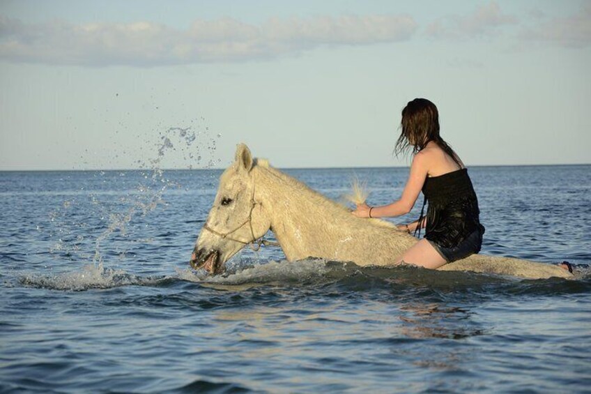 Ocean Walk with Mozambique Horse Safari