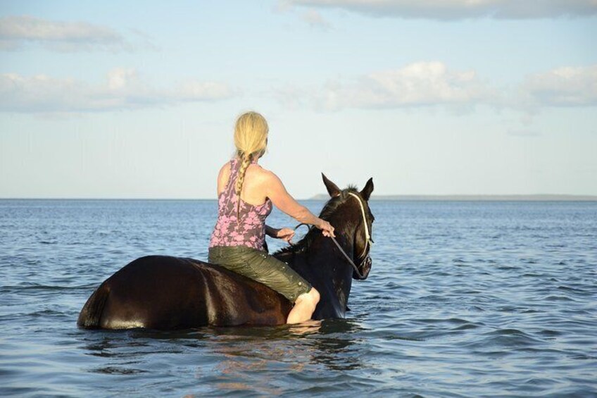 Ocean Walk with Mozambique Horse Safari