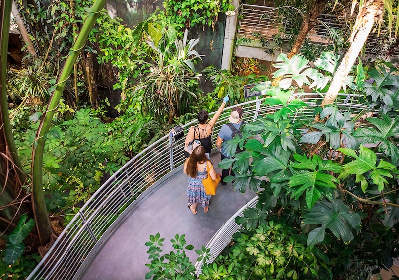 California Academy of Sciences General Admission