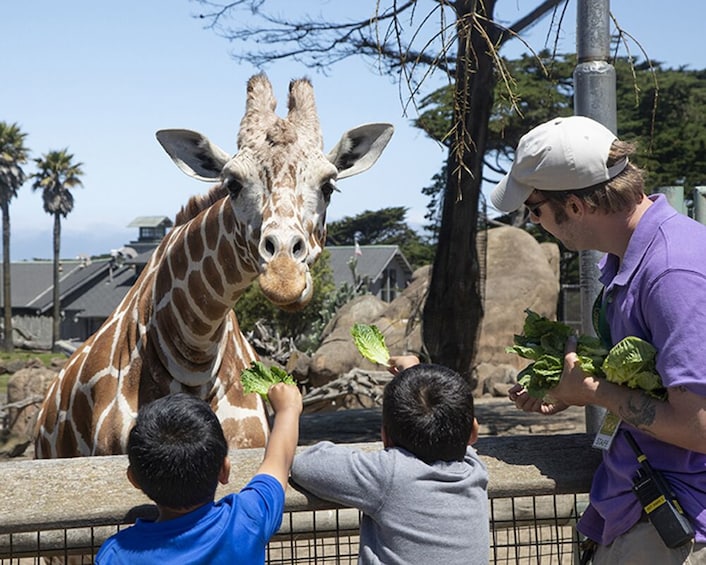 San Francisco CityPASS: Admission to Top 4 Attractions 