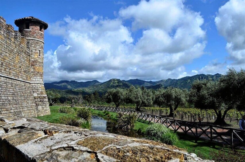 Åpne bilde 3 av 10. Small Group Napa Wine Lovers Tour with Reserve tastings