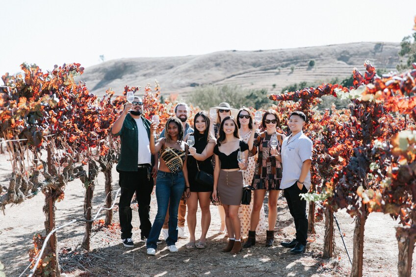 Small Group Napa Wine Lovers Tour with Reserve tastings