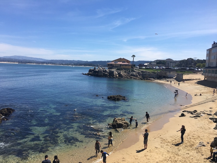 Monterey, Carmel & Pacific Coast Highway - Full Day Tour