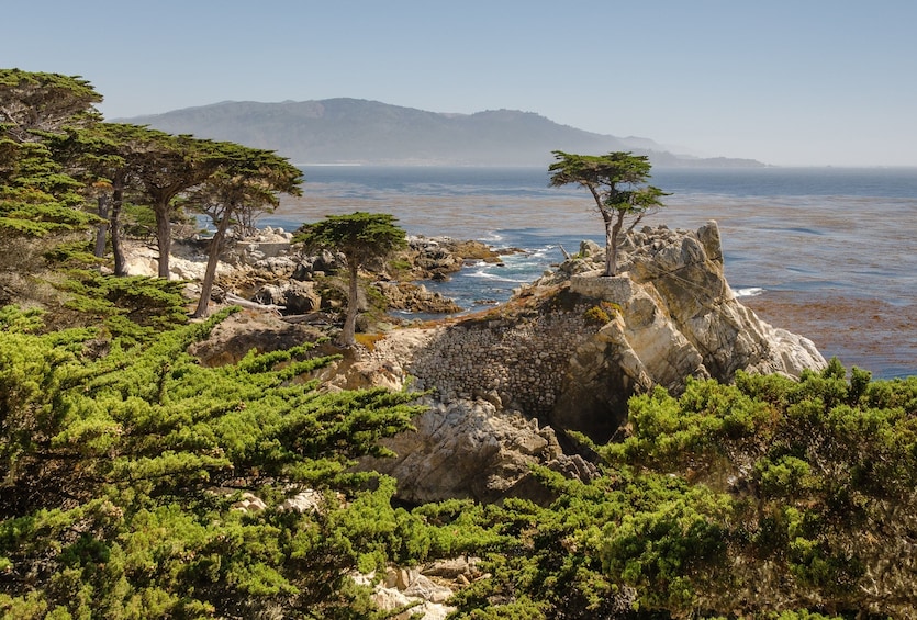 Monterey, Carmel & Pacific Coast Highway - Full Day Tour