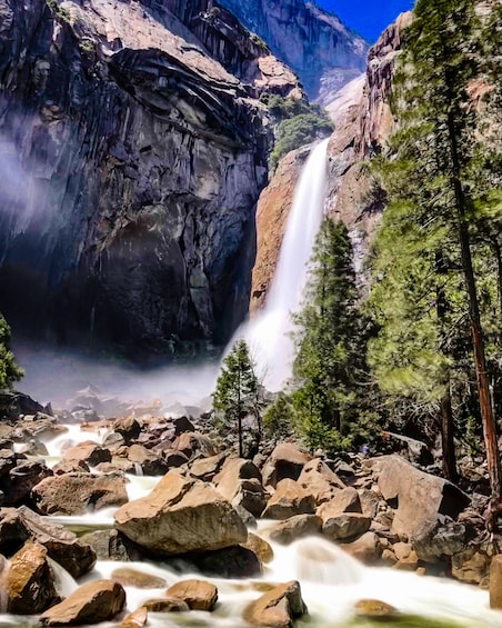 Yosemite National Park Valley Highlights Tour 