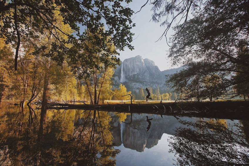 Yosemite National Park Valley Highlights Tour 