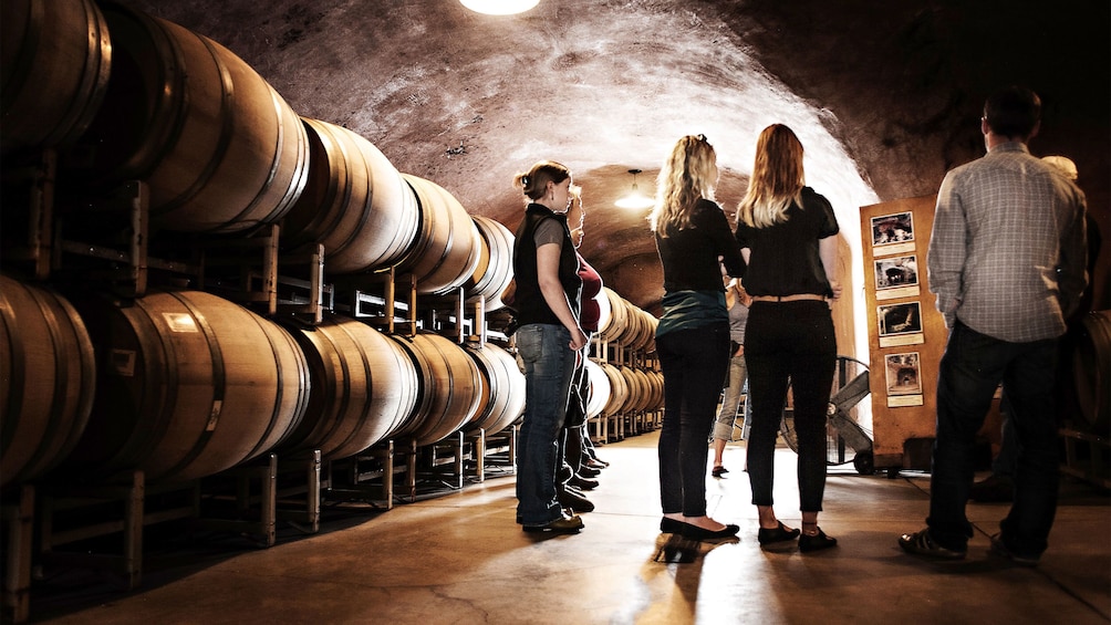 Charger l’élément 4 sur 10. Tour group next to wine barrel storage at California vineyard