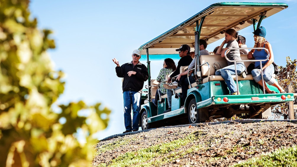 Charger l’élément 1 sur 10. Tour guide and group on a tram in a vineyard
