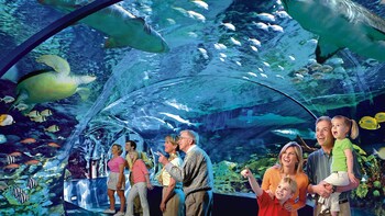 Ripley's Aquarium of the Smokies