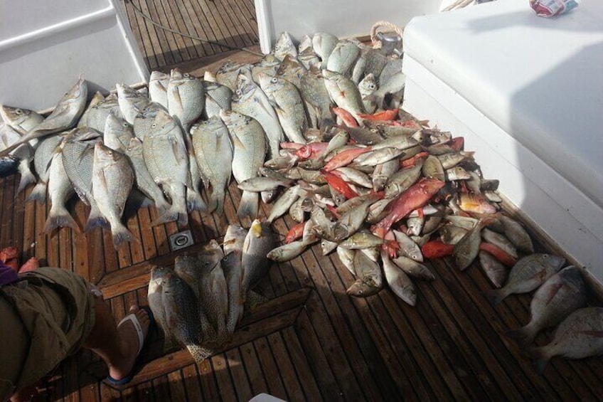 Fishing Over Night Private Boat Up to 8 Pax With Fishing equipment - Hurghada