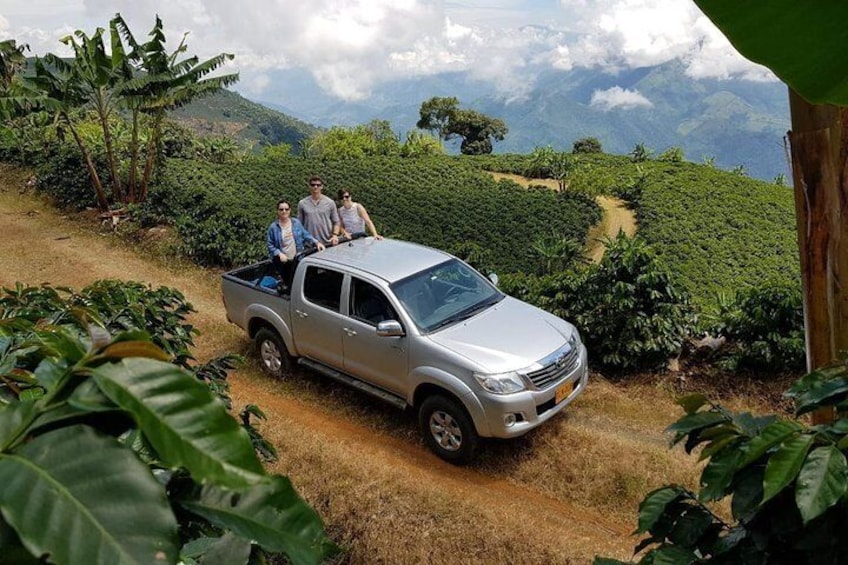 Driving around the coffee farm as in a coffee safari