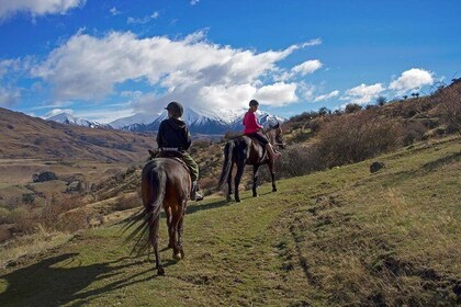 Cardrona Gold Discovery Trail Horse Trek(beginner/child friendly)