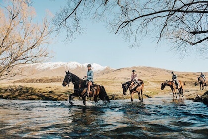 Gold Discovery Trail Horse Trek Cardrona - Most popular!