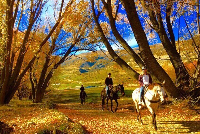 Small-Group Gold Discovery Horse Riding in Cardrona Valley