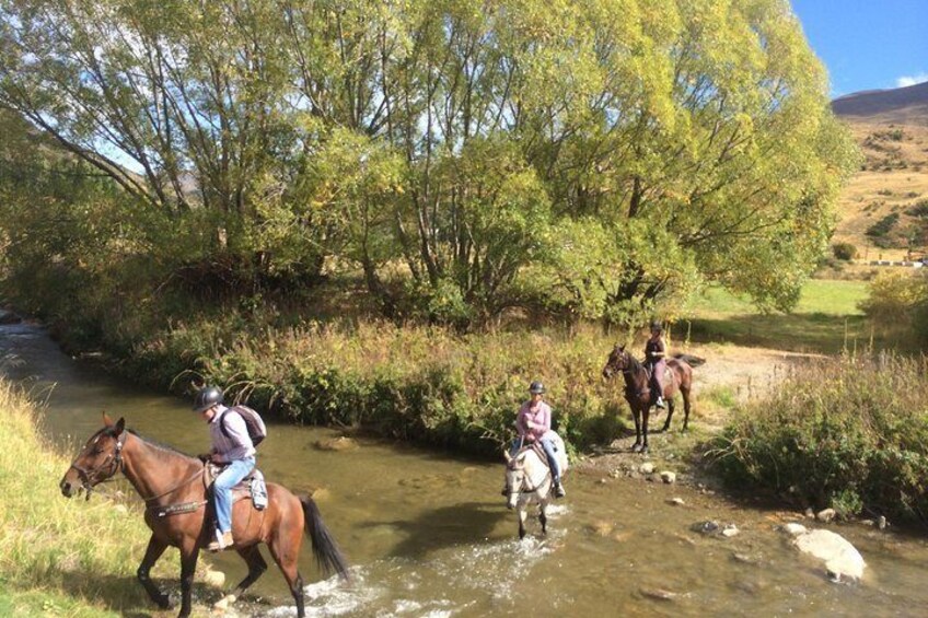 Crossing Cardrona River