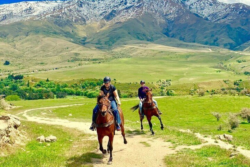 Cardrona High Country Pub Trail Horse Riding Trek