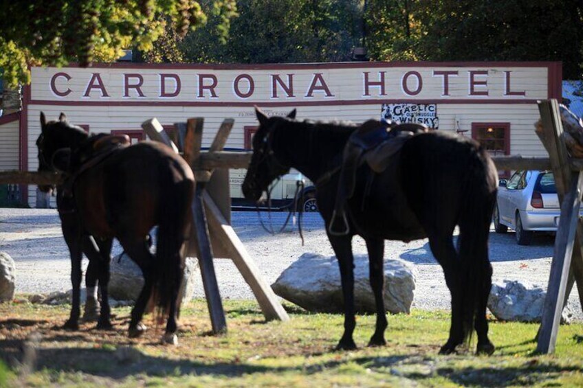 Cardrona High Country Pub Trail Horse Riding Trek